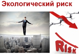 Техногенные системы и экологический риск