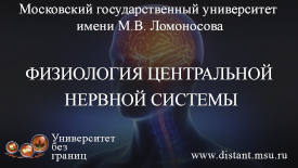 Физиология центральной нервной системы