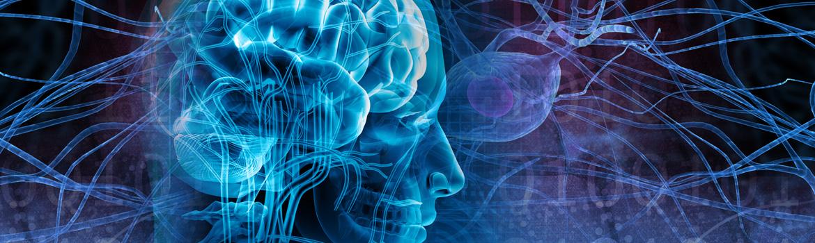 Нейробиология: от клетки к поведению