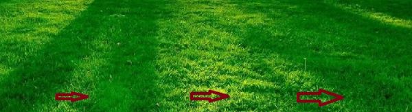 Imagen de fondo para arrastrar marcadores dentro de este