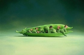 Общая генетика (для психологов)