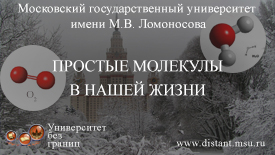 Простые молекулы в нашей жизни