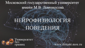 Нейрофизиология поведения