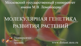 Молекулярная генетика развития растений