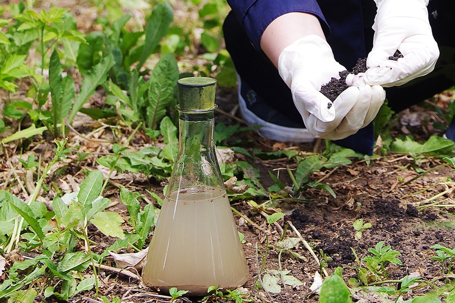 Экологический мониторинг почв