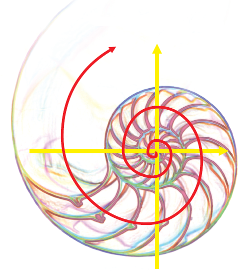 Математические модели в биологии