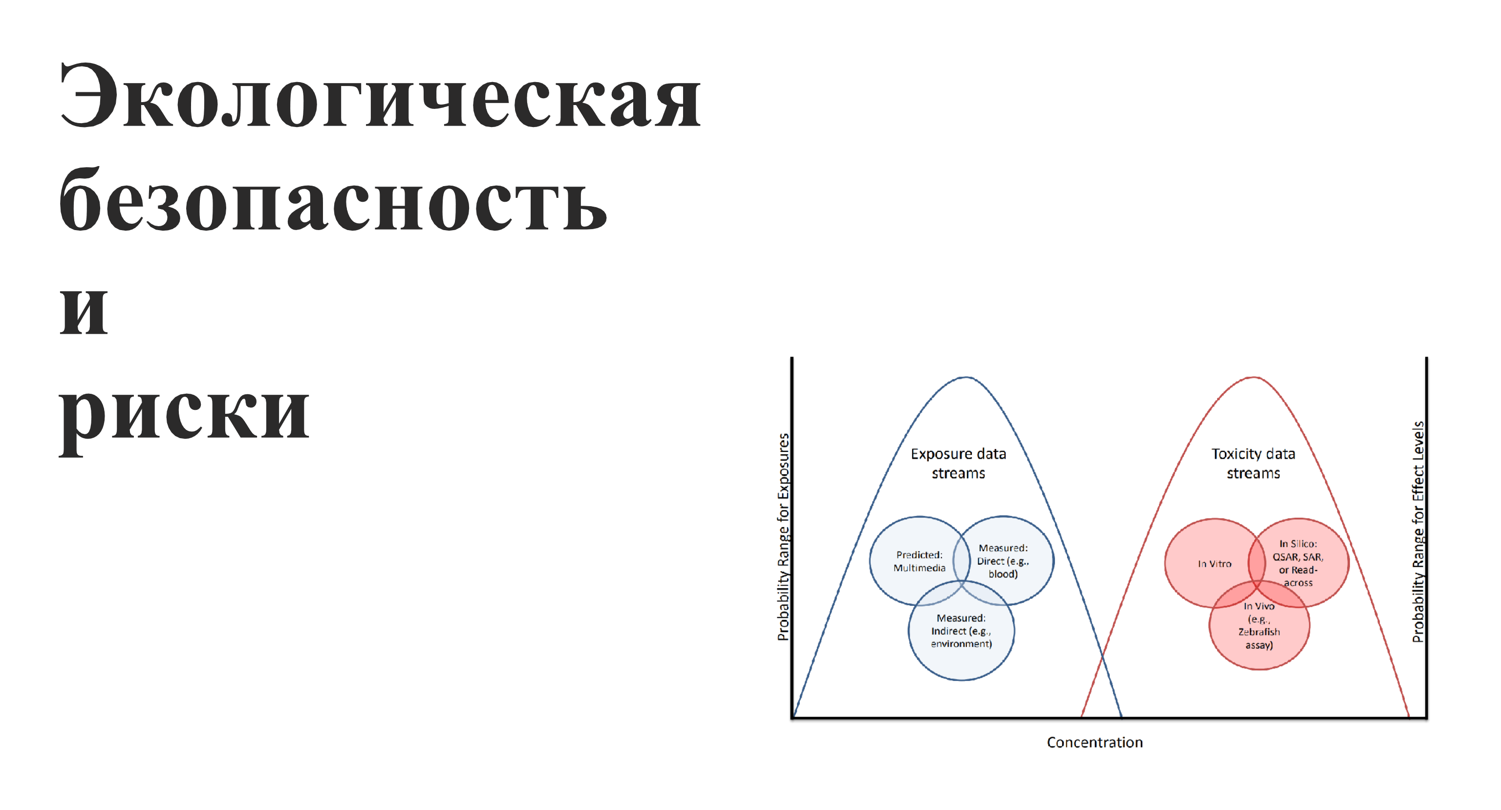 Экологическая безопасность и риски.