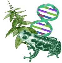 Биология для школьного учителя