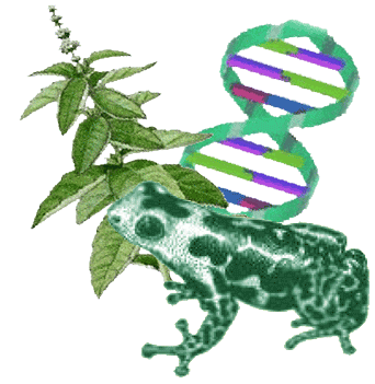 биология биология