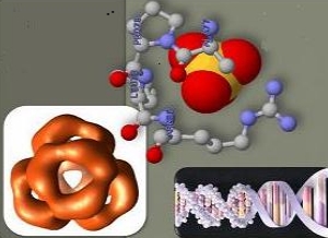 органические вещества клетки органические вещества клетки