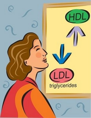 холестерин холестерин