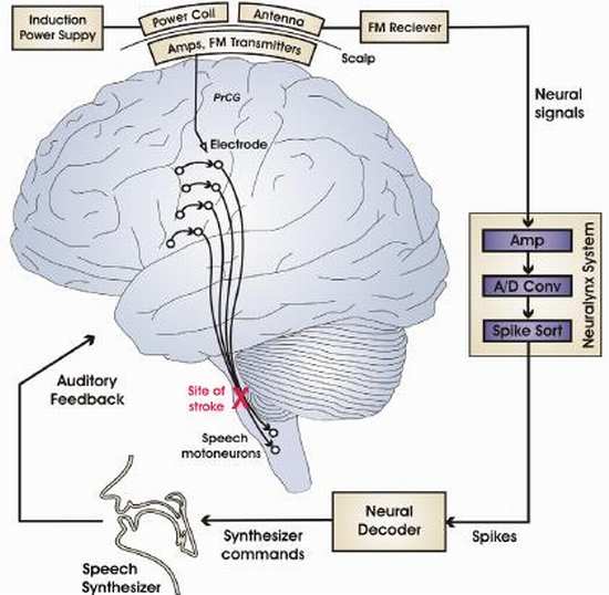 гигамозг гигамозг