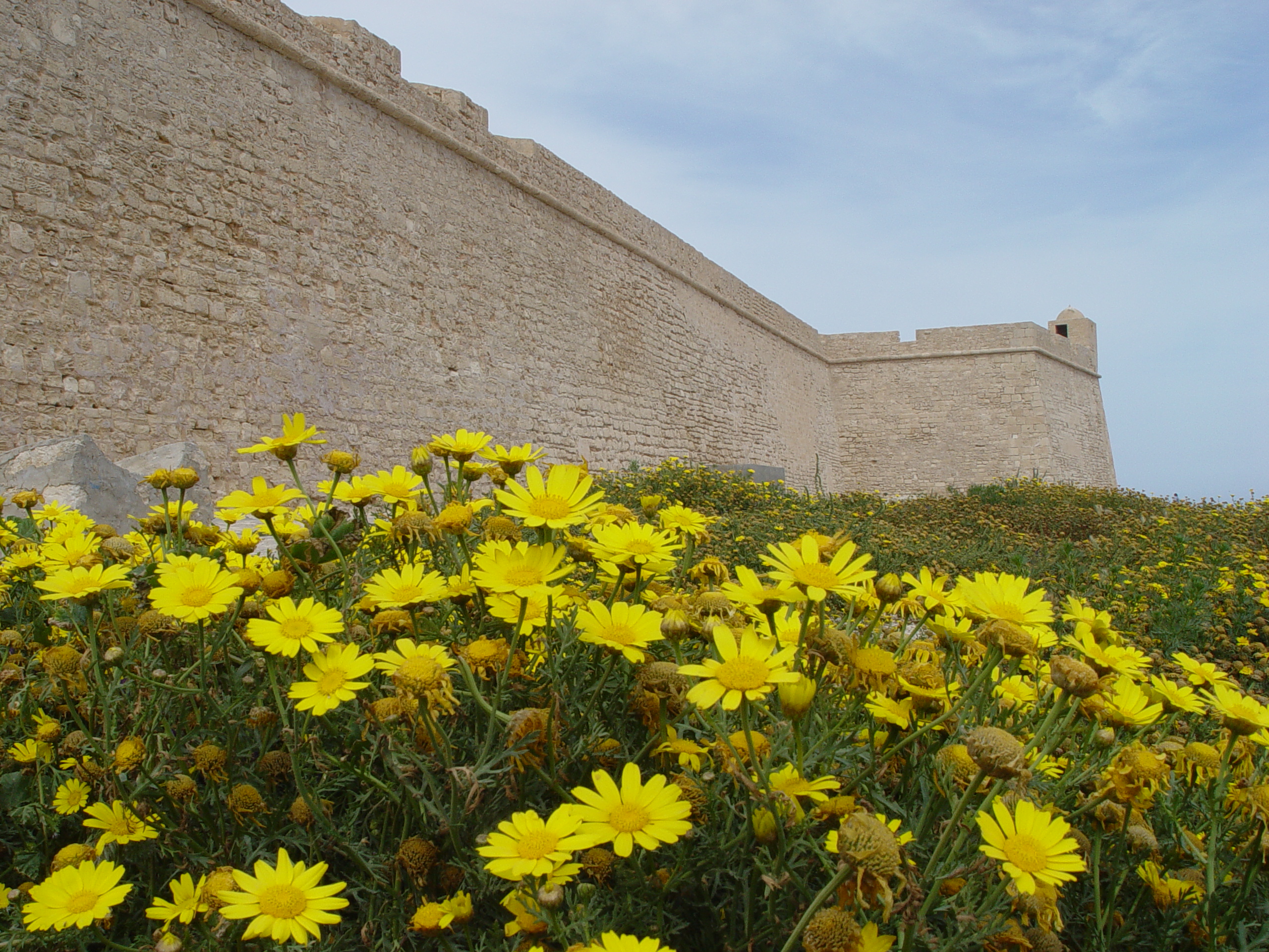 у средневековой крепости в Сирии