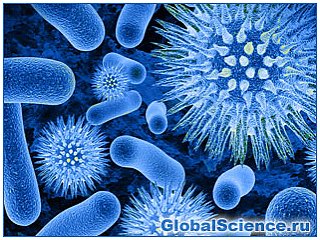 палочковидные бактерии, обладающие хемотаксисом