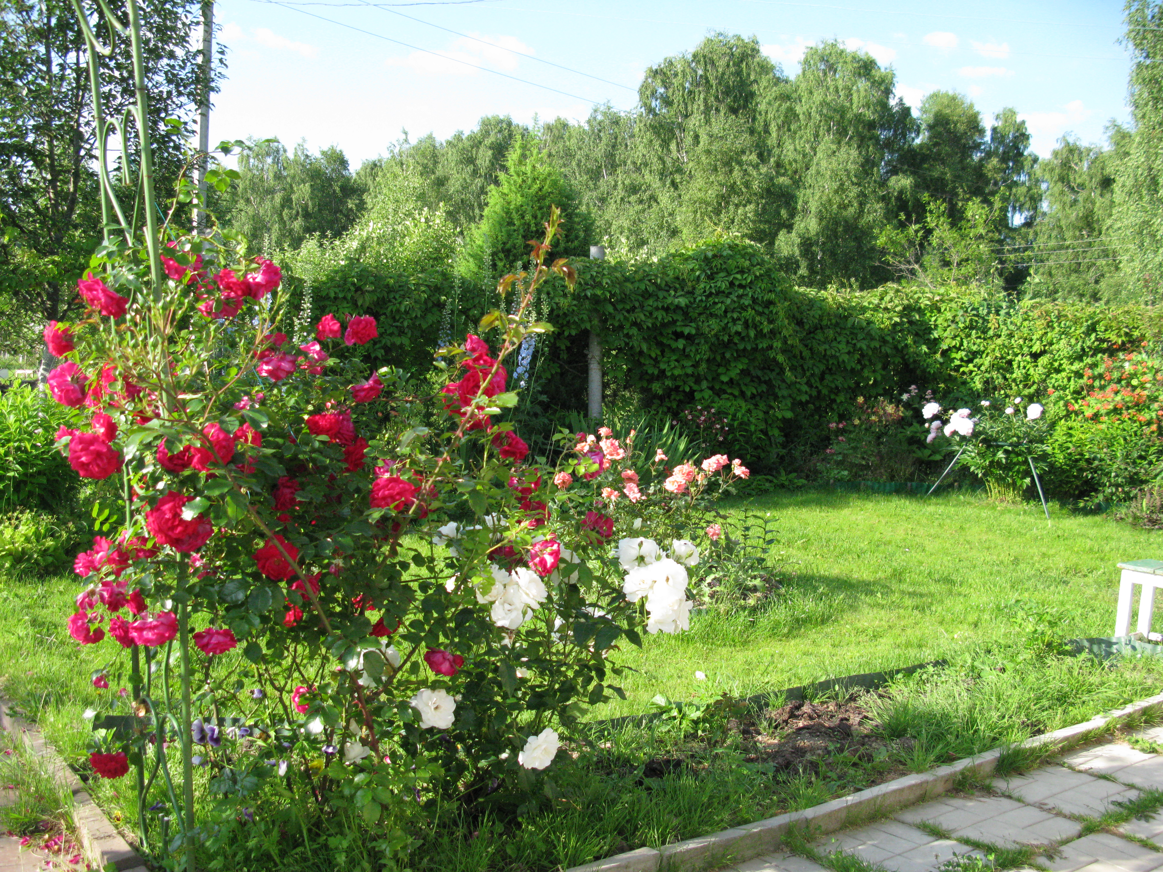 средняя полоса