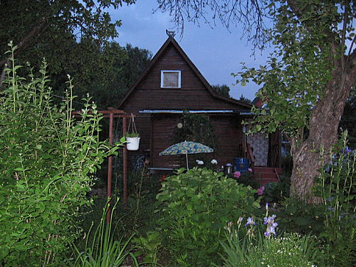 территория дачи