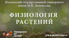 Физиология растений