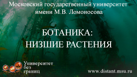 Ботаника: низшие растения